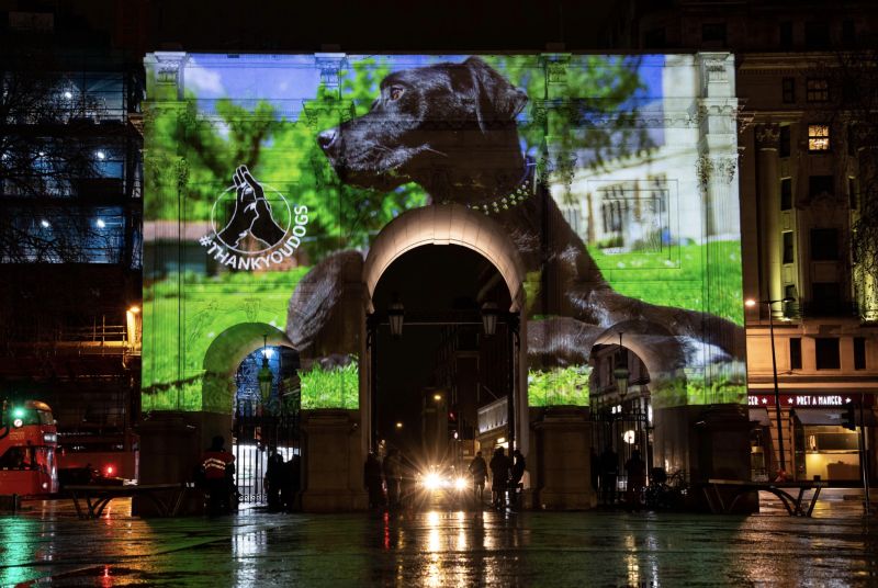 Lintbells' digital #ThankYouDogs campaign was projected onto London landmarks