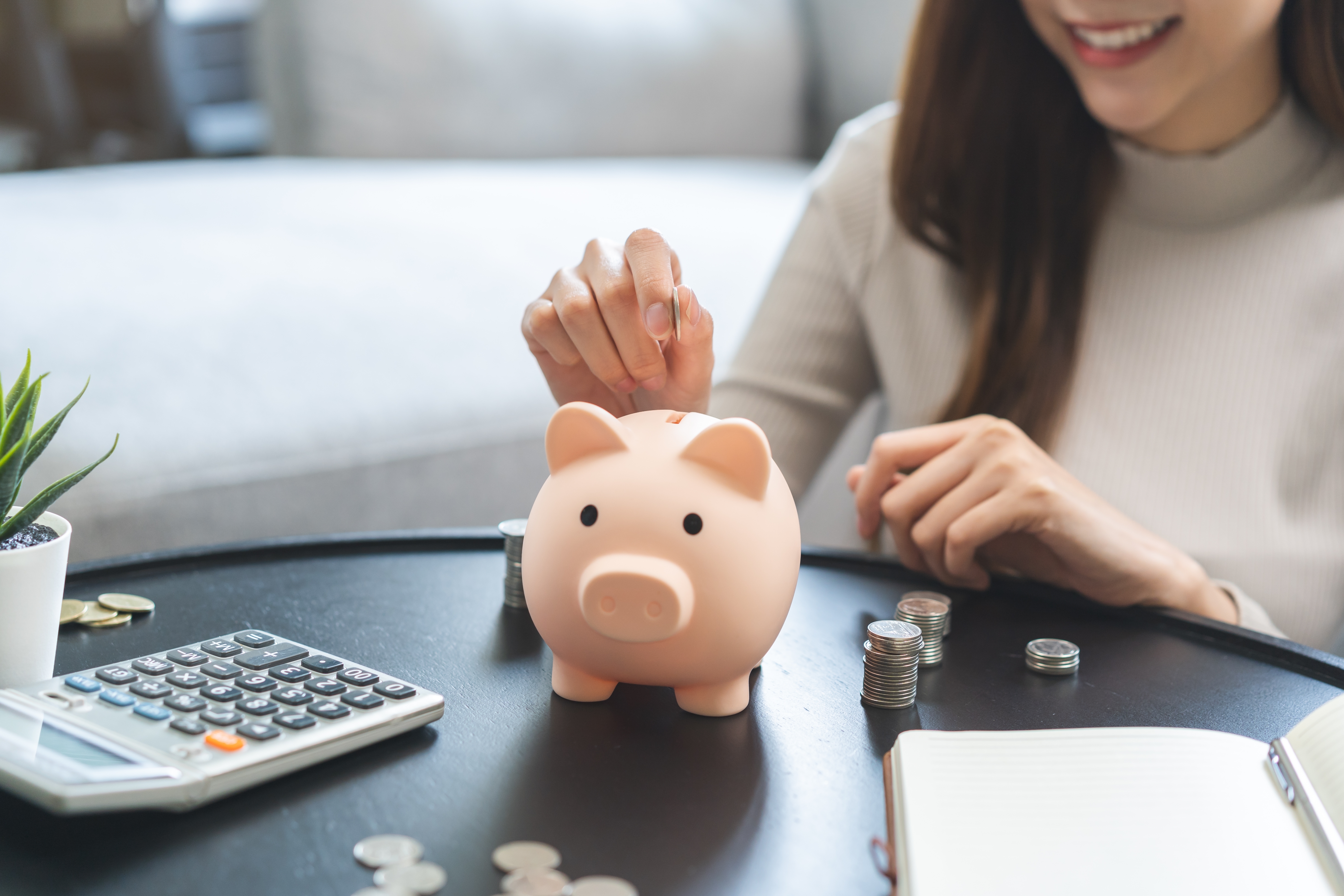 Pig money box with coins and calculator 